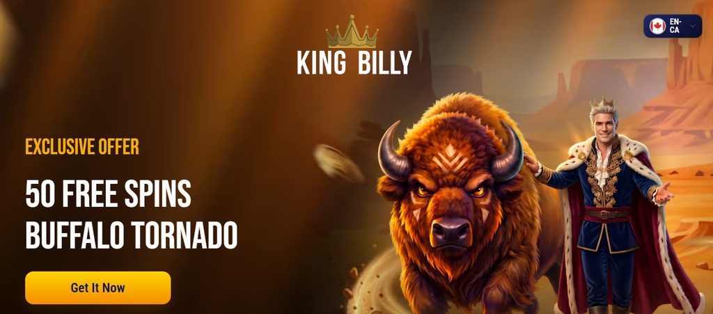 Terms detail from King Billy: Elvis Frog Trueways playthrough and cap