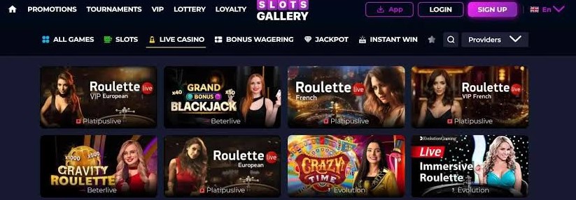 Terms detail from Slots Gallery: Wild West Trueways offer conditions