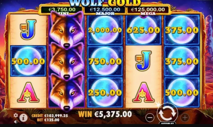 Terms detail from Wolf Gold: medium volatility slot information screen